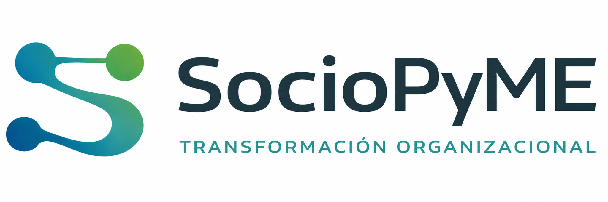 SocioPyME Transformación Organizacional